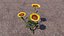 Blumen