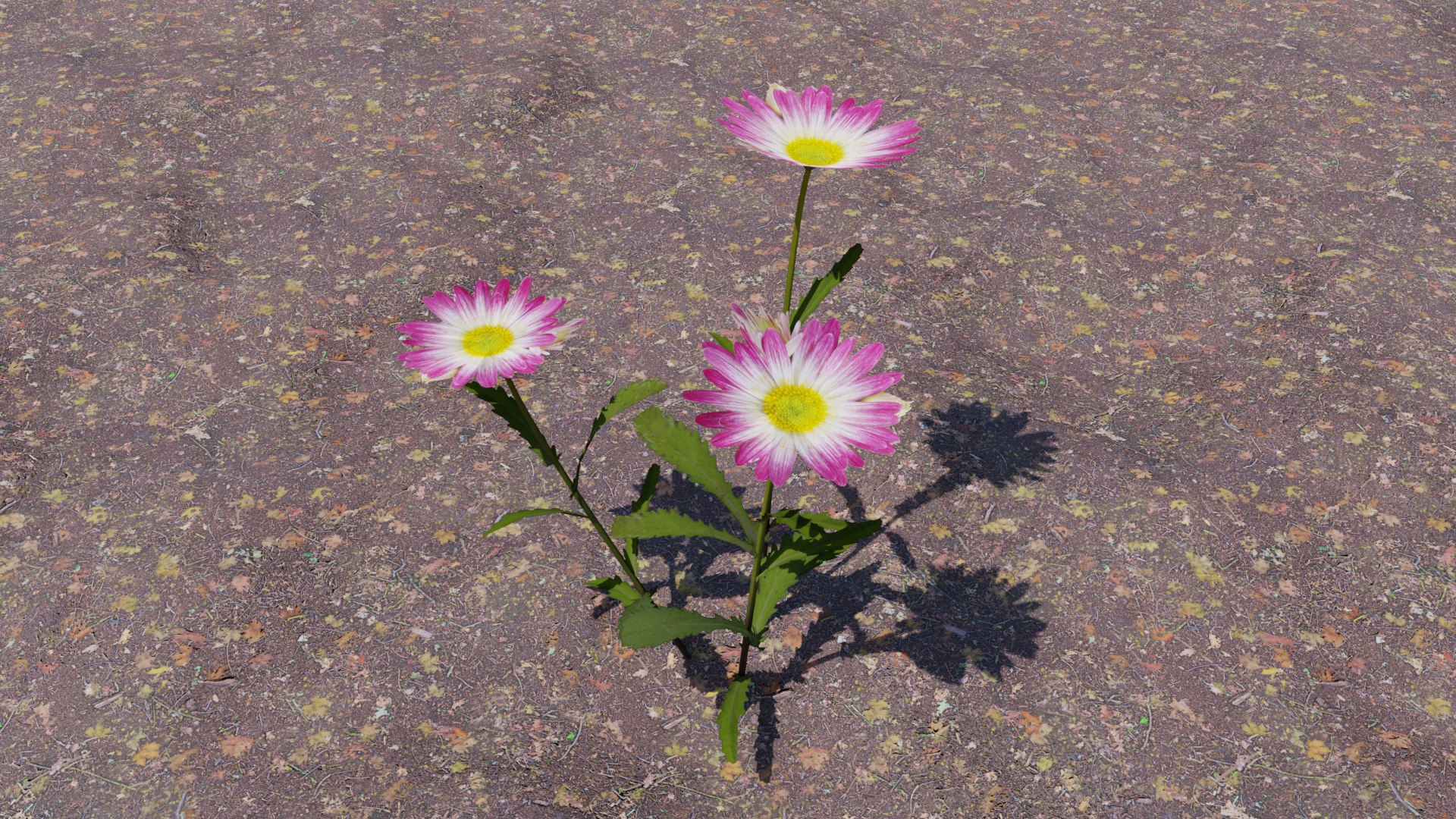 Flowering Plants Collection 3D model https://p.turbosquid.com/ts-thumb/Zo/NmrKuL/RY/flower10/png/1680484118/1920x1080/fit_q87/808b8eb1782303b68233cfe9c147bafef9fe980a/flower10.jpg