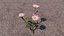 Blumen