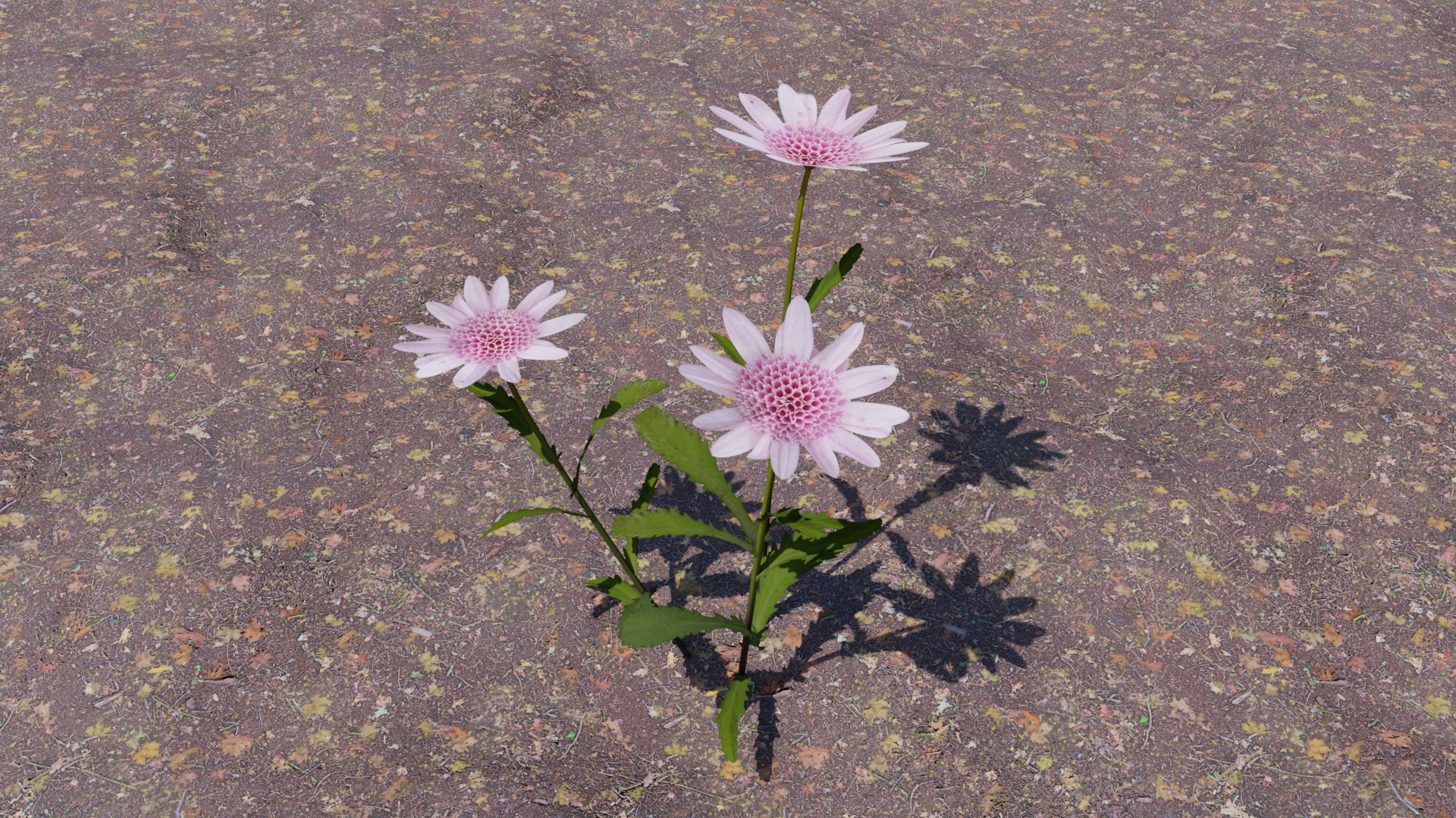 Flowering Plants Collection 3D model https://p.turbosquid.com/ts-thumb/Zo/NmrKuL/TO/flower11/png/1680484123/1920x1080/fit_q87/9d66f61cb711866ece53271aa3635732dd0a8b96/flower11.jpg