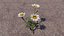 Blumen