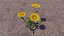 Blumen
