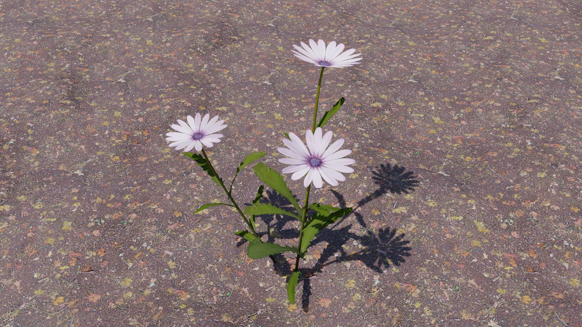 Flowering Plants Collection 3D model https://p.turbosquid.com/ts-thumb/Zo/NmrKuL/jV/flower01/png/1680484113/1920x1080/fit_q87/d206eefb08f1f5c7bab38391bfe6fc771e4582ac/flower01.jpg
