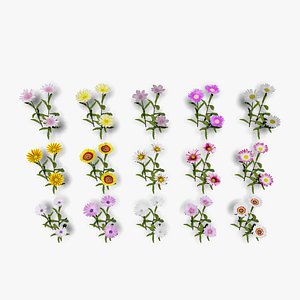 Flowering Plants Collection 3D model