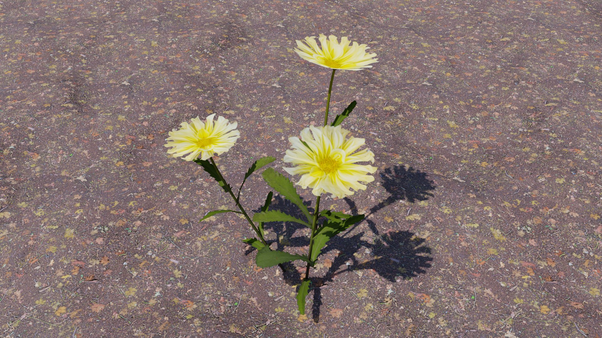 Flowering Plants Collection 3D model https://p.turbosquid.com/ts-thumb/Zo/NmrKuL/oG/flower12/png/1680484120/1920x1080/fit_q87/57dd49fe6cf06b7c891d3b38d94f7af8acff92e4/flower12.jpg