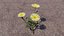 Blumen