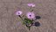 Blumen