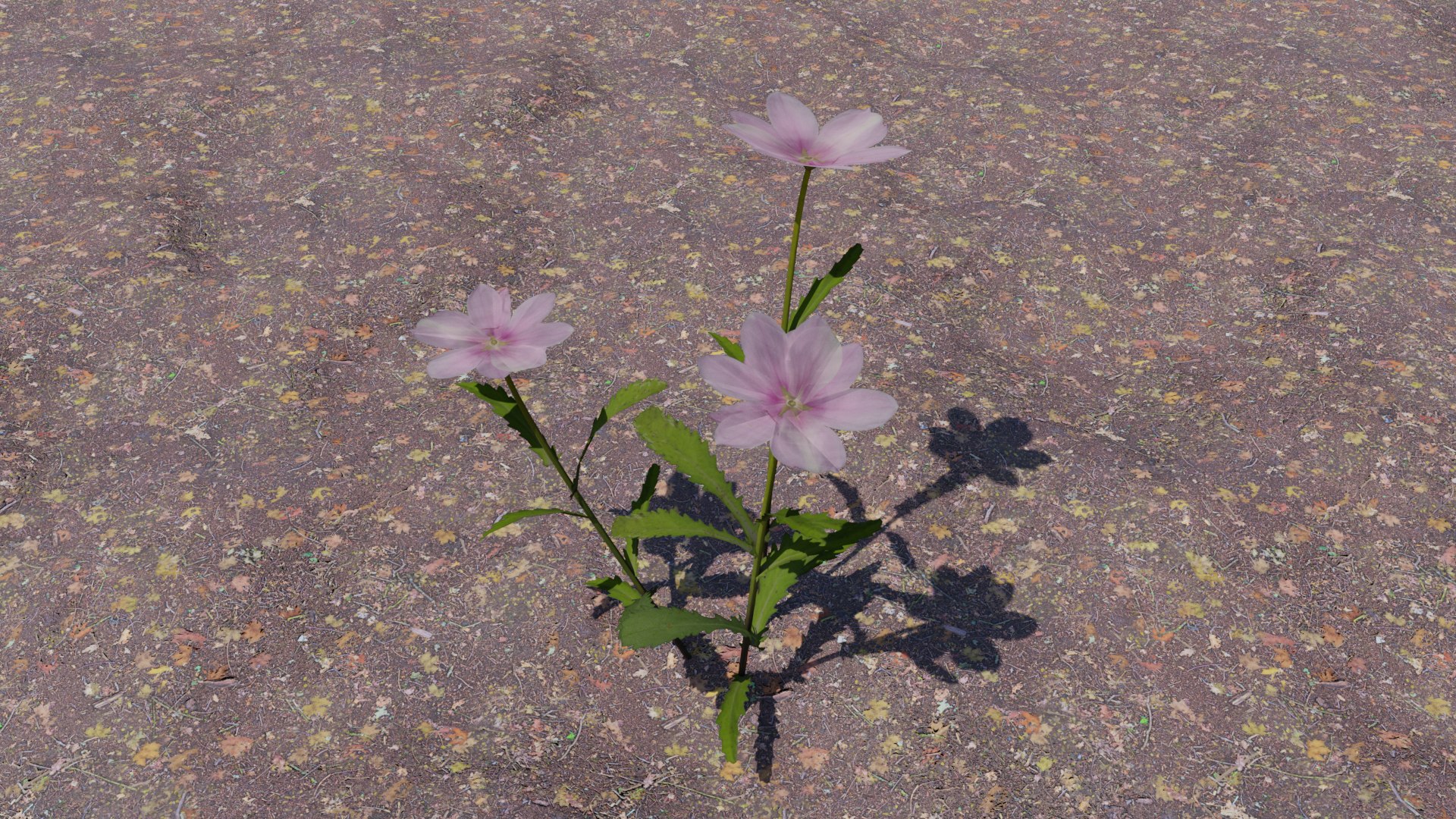 Flowering Plants Collection 3D model https://p.turbosquid.com/ts-thumb/Zo/NmrKuL/x1/flower13/png/1680484121/1920x1080/fit_q87/70cdfddcca4eaa31ad708939ec97dcdd763b4bce/flower13.jpg