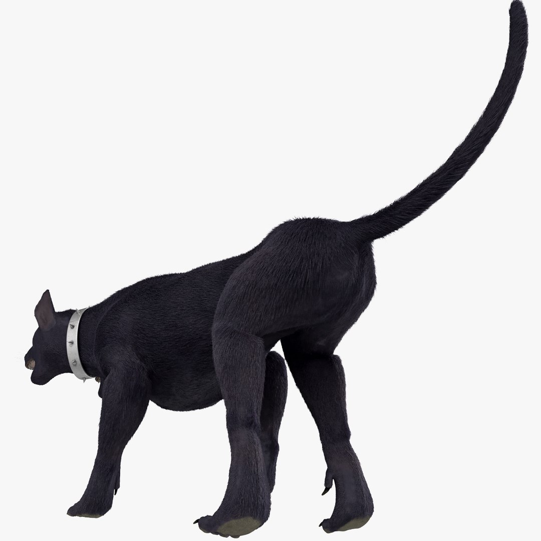 3d model three-headed dog cerberus fur https://p.turbosquid.com/ts-thumb/Zo/QoRCPZ/5ZLP7Los/threeheadeddogcerberusfurrigged_169/jpg/1418249192/1920x1080/fit_q87/1dd488114b99c9f7da1f3dfe4d6b28994b2ae2c2/threeheadeddogcerberusfurrigged_169.jpg