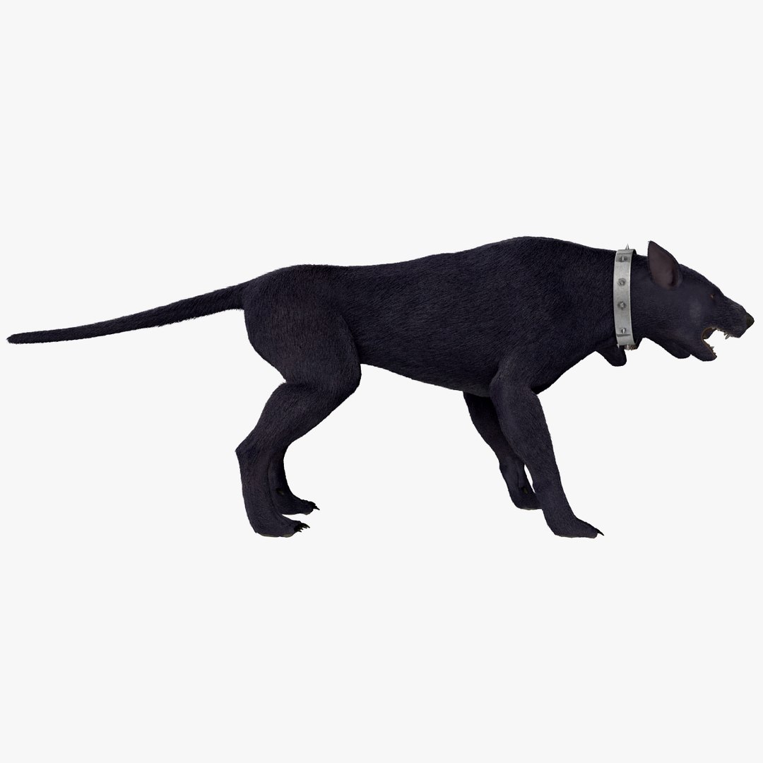 3d model three-headed dog cerberus fur https://p.turbosquid.com/ts-thumb/Zo/QoRCPZ/6vHm68nP/threeheadeddogcerberusfurrigged_157/jpg/1418249173/1920x1080/fit_q87/ceb10e3dd186628a10da97dd9a6d312bbf28c9f7/threeheadeddogcerberusfurrigged_157.jpg