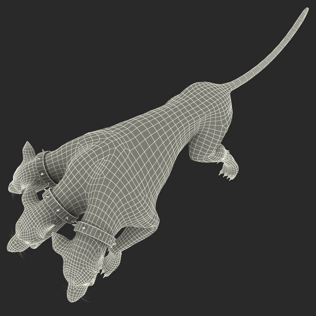 3d model three-headed dog cerberus fur https://p.turbosquid.com/ts-thumb/Zo/QoRCPZ/RrPvXEPJ/threeheadeddogcerberusfurrigged_148/jpg/1418249158/1920x1080/fit_q87/23be8b13729b3557c76445252d5ecb8f03c6cf63/threeheadeddogcerberusfurrigged_148.jpg