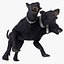 Three-Headed Dog Cerberus Fur Rigged