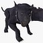 Three-Headed Dog Cerberus Fur Rigged