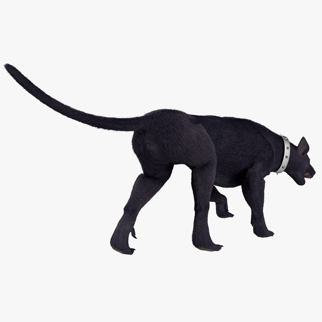 3d model three-headed dog cerberus fur https://p.turbosquid.com/ts-thumb/Zo/QoRCPZ/eS5TpmC0/threeheadeddogcerberusfurrigged_162/jpg/1418249181/1920x1080/fit_q87/0f672529d890654bb98d4bcef9962caa02c54ade/threeheadeddogcerberusfurrigged_162.jpg