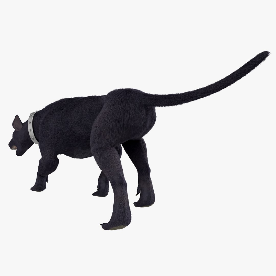 3d model three-headed dog cerberus fur https://p.turbosquid.com/ts-thumb/Zo/QoRCPZ/elOaoCB4/threeheadeddogcerberusfurrigged_161/jpg/1418249179/1920x1080/fit_q87/ca899e160ab28e7acc06b905c7590a9200e997ca/threeheadeddogcerberusfurrigged_161.jpg