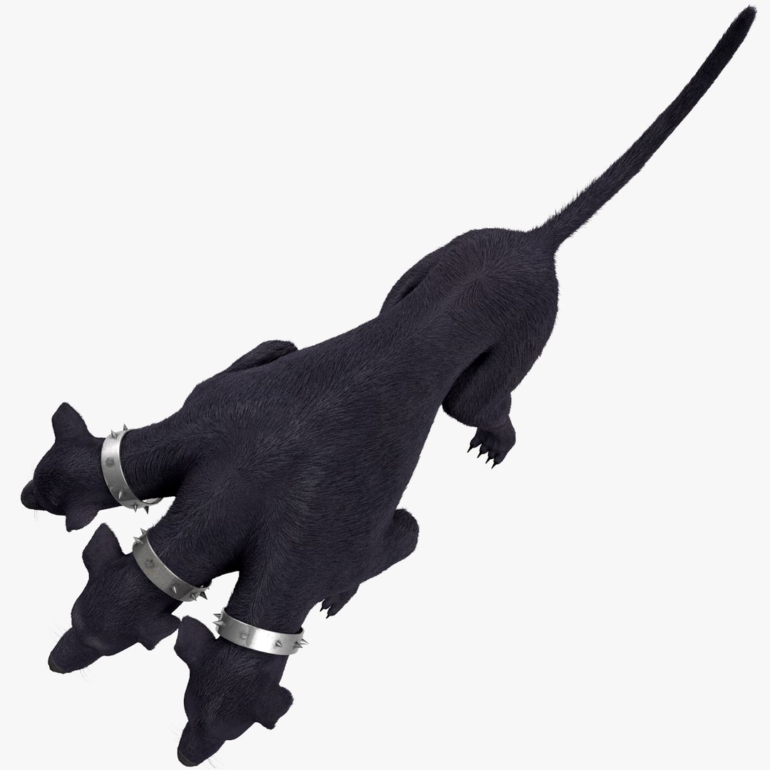 3d model three-headed dog cerberus fur https://p.turbosquid.com/ts-thumb/Zo/QoRCPZ/gTzWF0hJ/threeheadeddogcerberusfurrigged_170/jpg/1418249193/1920x1080/fit_q87/df4c33b3e3f57703afb1d910ed9a286ecab274c6/threeheadeddogcerberusfurrigged_170.jpg