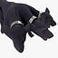 Three-Headed Dog Cerberus Fur Rigged