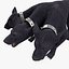 Three-Headed Dog Cerberus Fur Rigged