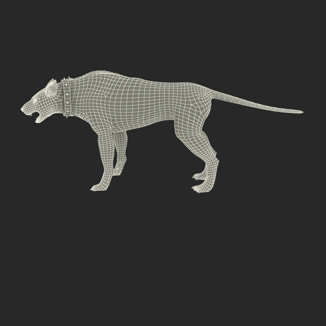 3d model three-headed dog cerberus fur https://p.turbosquid.com/ts-thumb/Zo/QoRCPZ/tAxDvJJg/turntablefile_363/jpg/1418249038/1920x1080/turn_fit_q99/e97f7d70045e1f3959b874b4717a28c58e6e3317/turntablefile_363-1.jpg