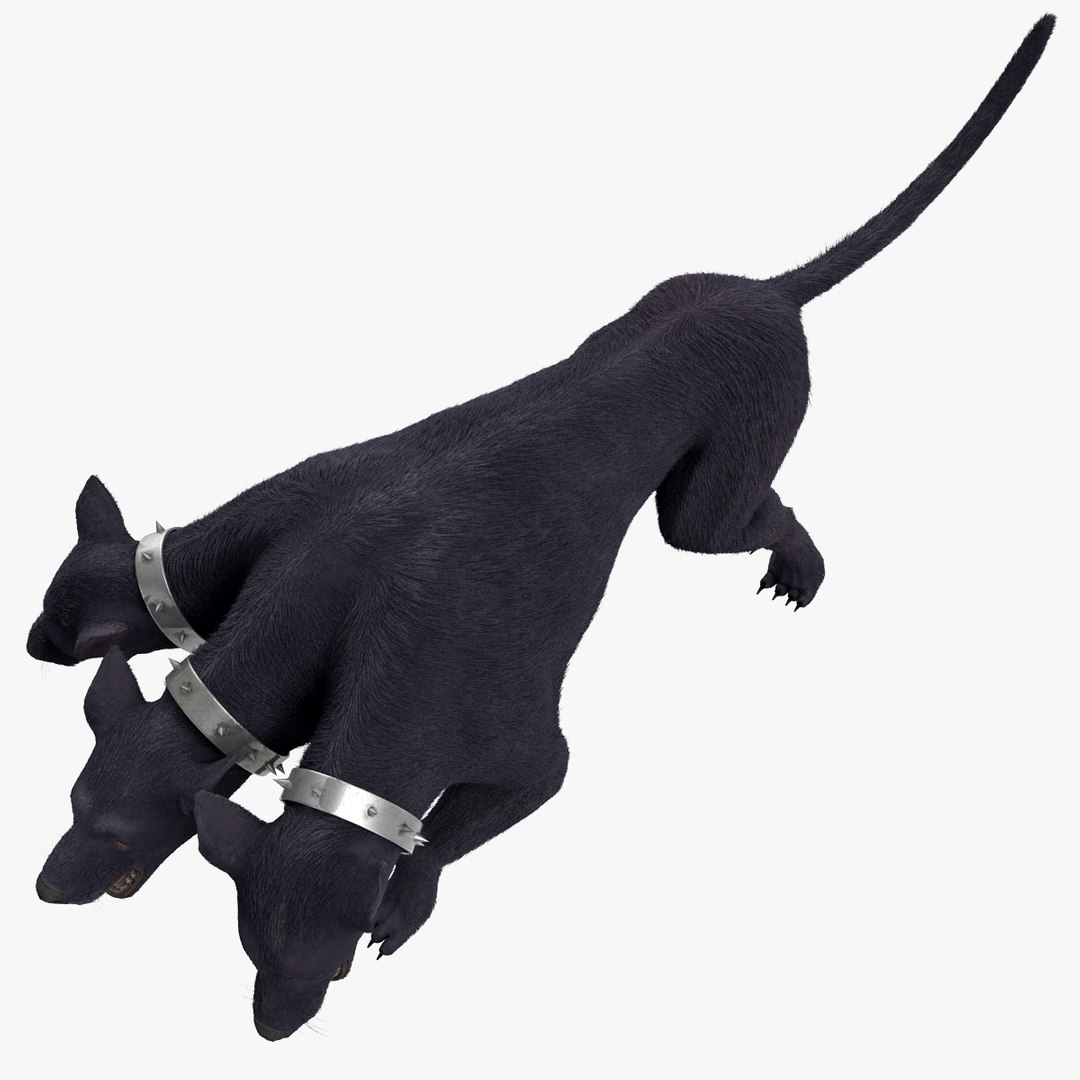 3d model three-headed dog cerberus fur https://p.turbosquid.com/ts-thumb/Zo/QoRCPZ/uuMFAHAL/threeheadeddogcerberusfurrigged_165/jpg/1418249185/1920x1080/fit_q87/5804077d2b54ed141a8a21c058c4eb4b336e7a26/threeheadeddogcerberusfurrigged_165.jpg