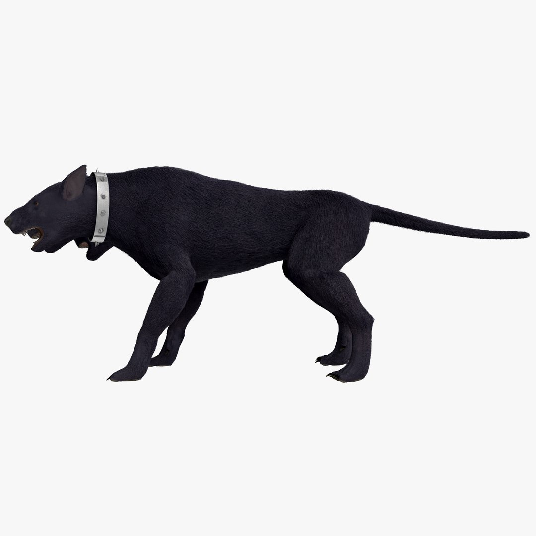 3d model three-headed dog cerberus fur https://p.turbosquid.com/ts-thumb/Zo/QoRCPZ/xYbJAzk3/threeheadeddogcerberusfurrigged_158/jpg/1418249175/1920x1080/fit_q87/28749ce754f2c2d9121320e64f80b9d71e131c08/threeheadeddogcerberusfurrigged_158.jpg
