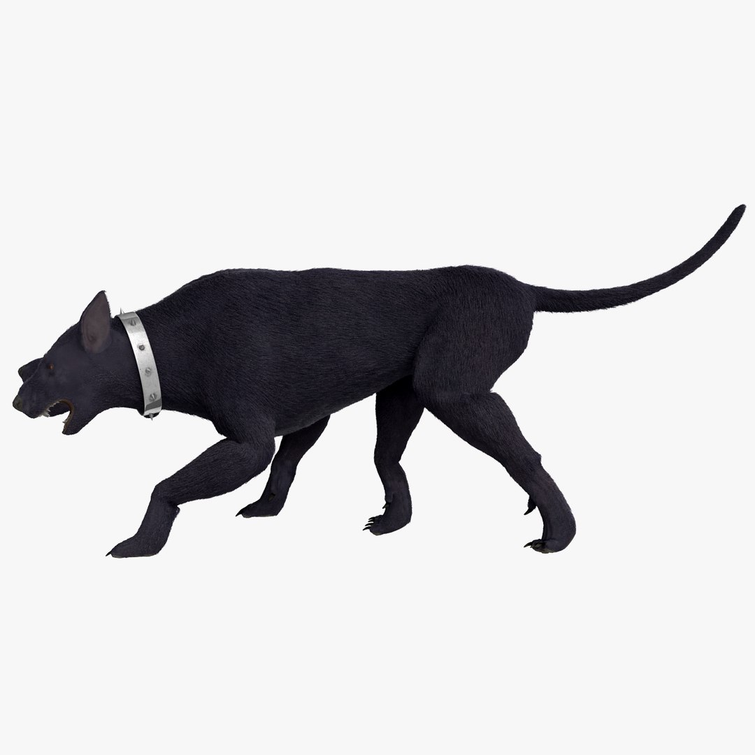 3d model three-headed dog cerberus fur https://p.turbosquid.com/ts-thumb/Zo/QoRCPZ/zji5vkTZ/threeheadeddogcerberusfurrigged_164/jpg/1418249184/1920x1080/fit_q87/ab59d67909c3198e8b18295d235f08bf8cc2b966/threeheadeddogcerberusfurrigged_164.jpg