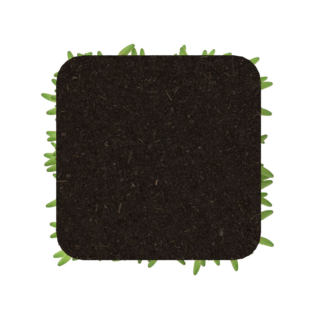 beet bulls 3D https://p.turbosquid.com/ts-thumb/Zo/WAAfcp/4HG2Gpca/r_0225/jpg/1583222497/1920x1080/fit_q87/fec14cf7ef53b55554cfaab84b2e6a815da06d80/r_0225.jpg
