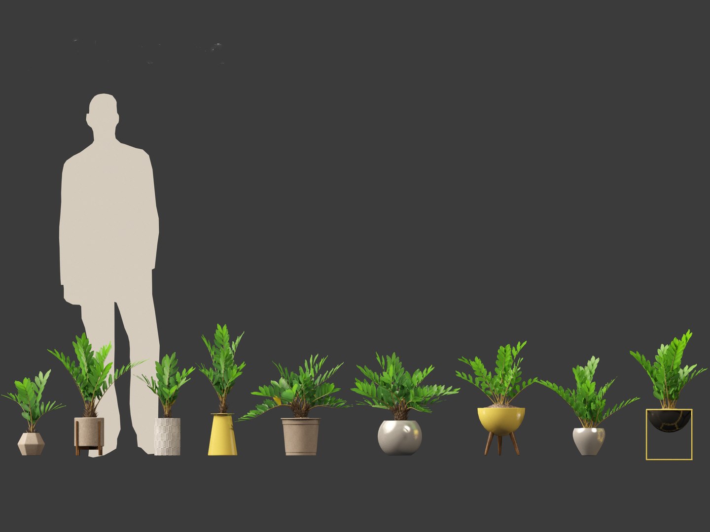 3D Zamia furfuracea - Cardboard palm 02 https://p.turbosquid.com/ts-thumb/Zo/eqHI87/LZ/zamiafurfuracea022/jpg/1691397907/1920x1080/fit_q87/dca5598c537bfd846d76528d1b3a1ac3e634dba1/zamiafurfuracea022.jpg