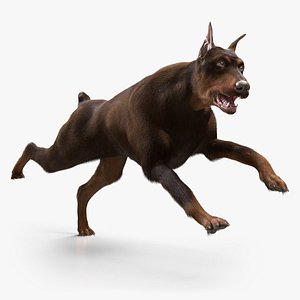 Doberman with Fur (Rigged)