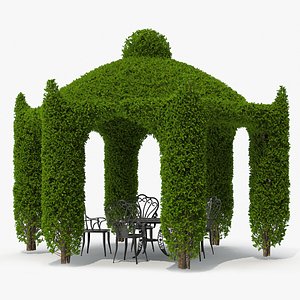 Ivy Gazebo with Garden Furniture 3D model
