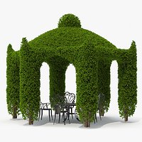 Ivy Gazebo with Garden Furniture