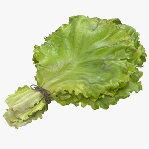 Lettuce Leaf Bunch 3D Model