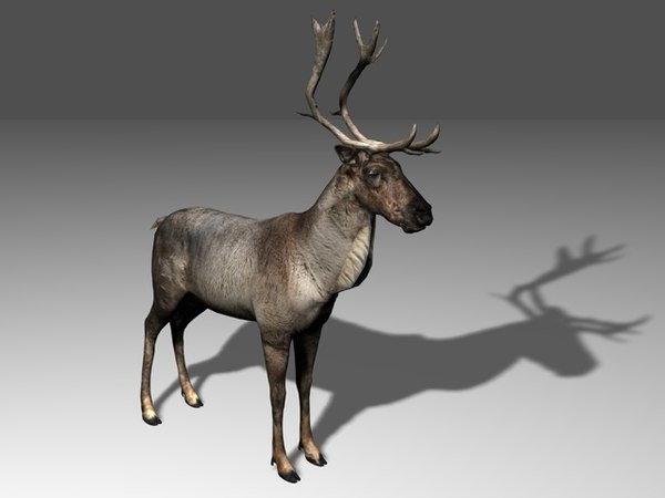 modelo 3d Reno - TurboSquid 658841