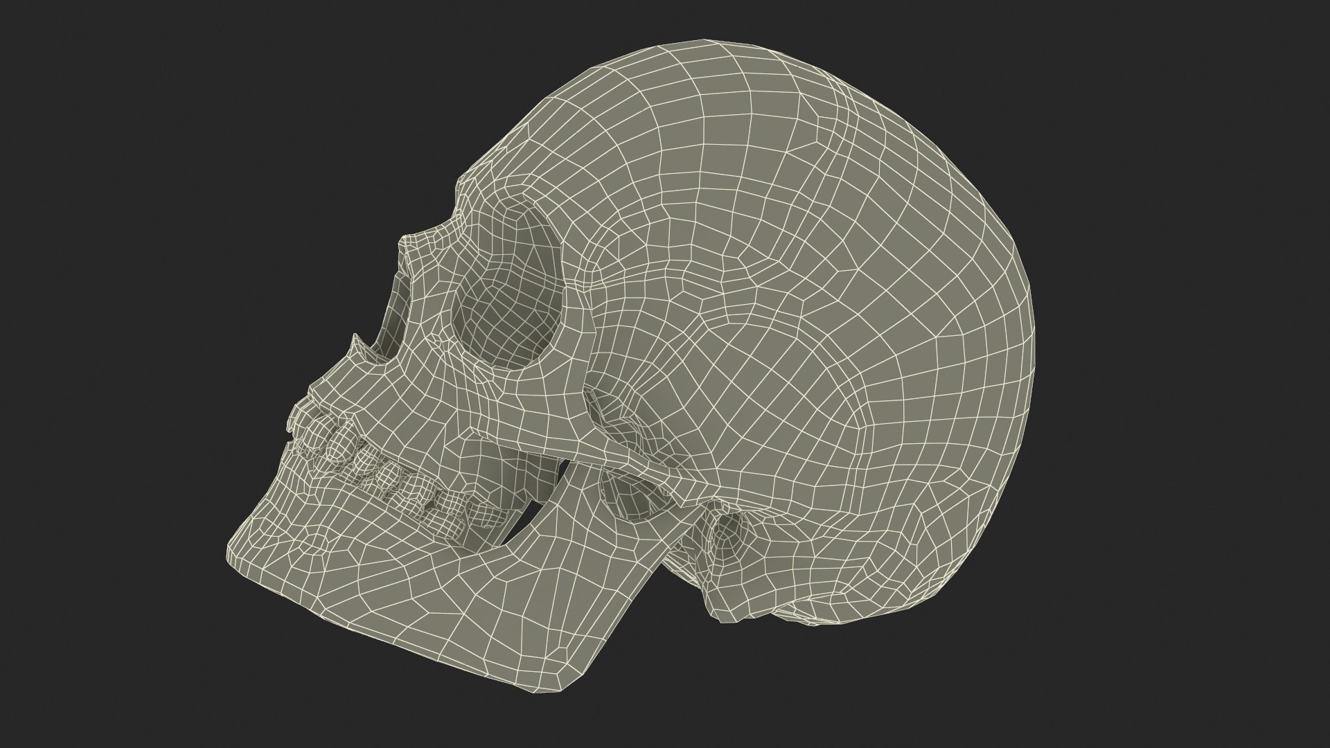 Anatomical Human Skulls Collection 2 model https://p.turbosquid.com/ts-thumb/Zp/E0PGDT/lg/anatomical_human_skulls_collection_2_009/jpg/1756933097/1920x1080/fit_q87/b6e000759fe537926f3a0445380ff33edbe00cf7/anatomical_human_skulls_collection_2_009.jpg