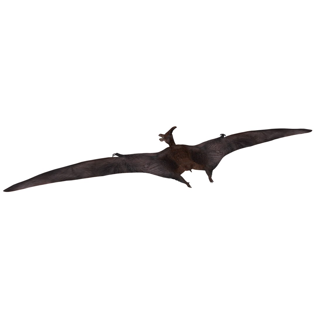 dinosaur 3D model https://p.turbosquid.com/ts-thumb/Zp/I0FyDb/3hYThaO3/pterosaurs_04/jpg/1517852197/1920x1080/fit_q87/b4646272d64809cca008b9938691f9f6547315a4/pterosaurs_04.jpg
