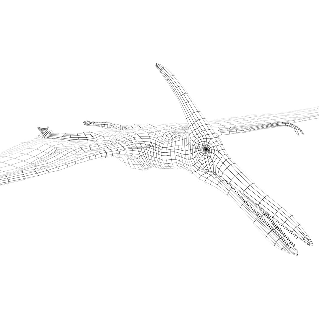 dinosaur 3D model https://p.turbosquid.com/ts-thumb/Zp/I0FyDb/47XlQNYf/pterosaurs_10/jpg/1517852197/1920x1080/fit_q87/eff334c765b96069ac8124c7788cad39a6b7495c/pterosaurs_10.jpg