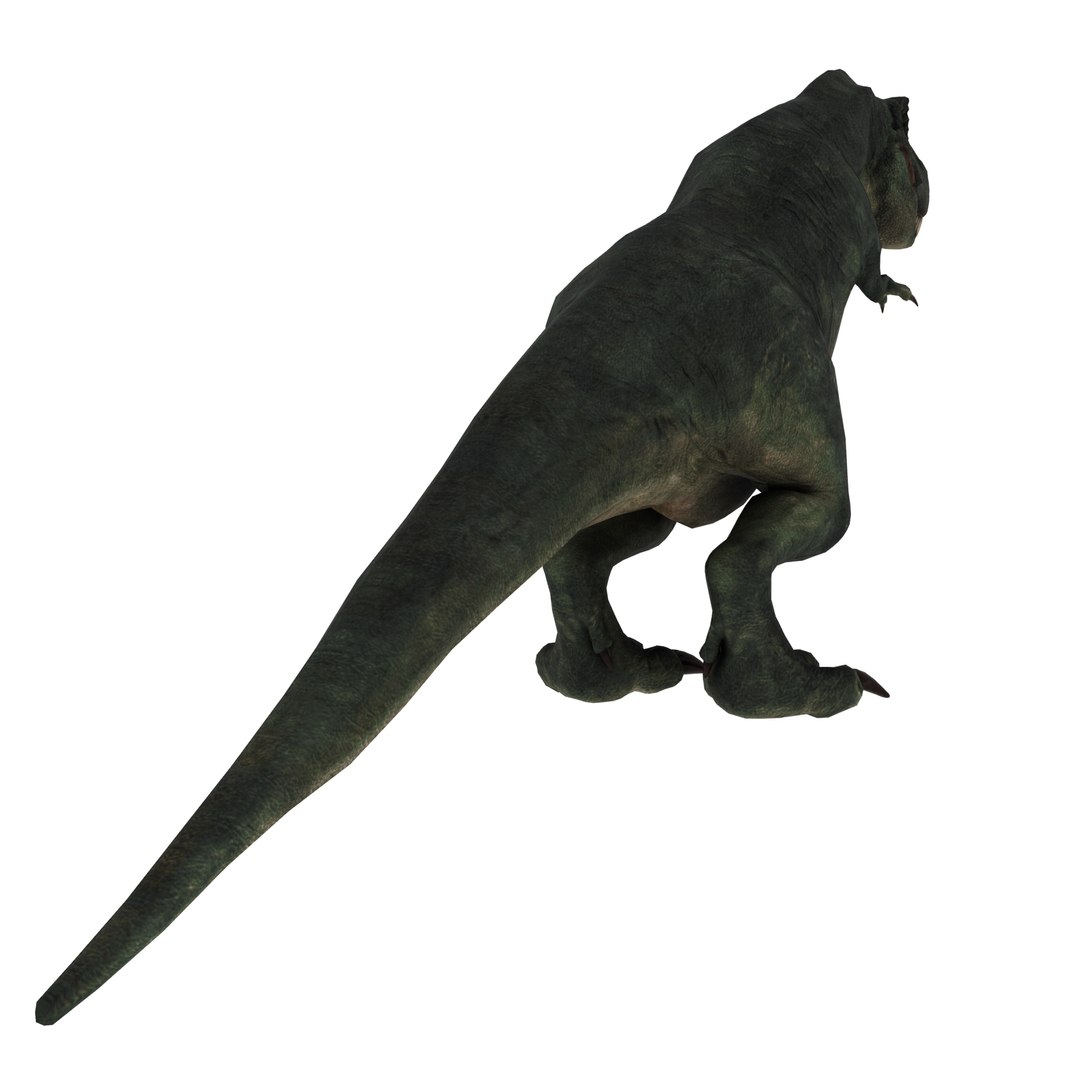 dinosaur 3D model https://p.turbosquid.com/ts-thumb/Zp/I0FyDb/74g4iaG6/tyrannosaurus_rex_05/jpg/1517852198/1920x1080/fit_q87/2c4f63f4ec4c0411e893653d37c4a357497f3028/tyrannosaurus_rex_05.jpg