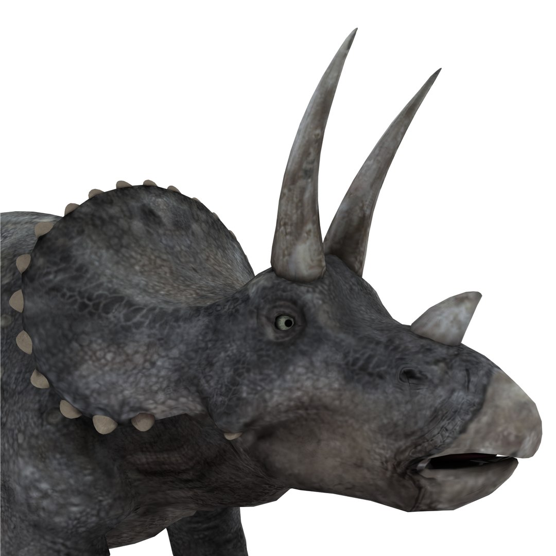 dinosaur 3D model https://p.turbosquid.com/ts-thumb/Zp/I0FyDb/8kzqofqS/triceratops_03/png/1517852197/1920x1080/fit_q87/ce90416e157480407b621ea53d5fbea858f270f7/triceratops_03.jpg