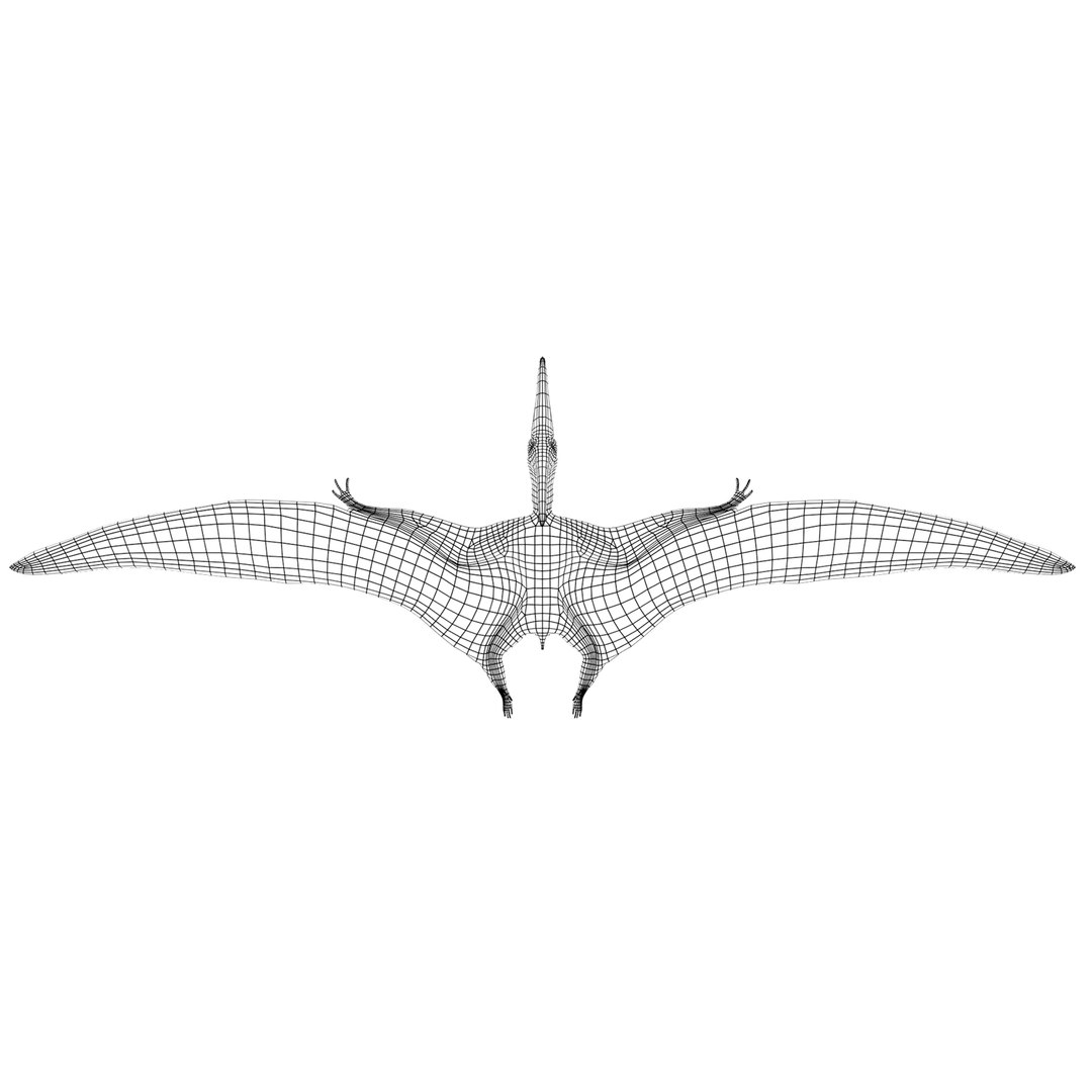 dinosaur 3D model https://p.turbosquid.com/ts-thumb/Zp/I0FyDb/C1wQ31Kd/pterosaurs_12/jpg/1517852197/1920x1080/fit_q87/a726f80bd91159e984d69e2e02a4d658f6e29bf4/pterosaurs_12.jpg