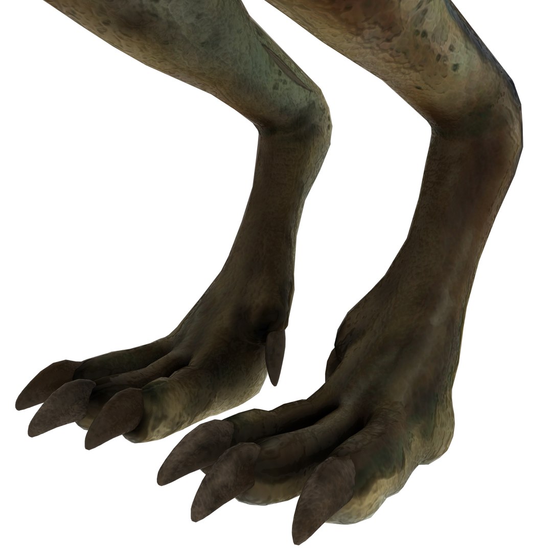 dinosaur 3D model https://p.turbosquid.com/ts-thumb/Zp/I0FyDb/CTTmd04n/oviraptor_07/jpg/1517852197/1920x1080/fit_q87/2c54a21e998fa2ae719ebb6c4396cd445c69beca/oviraptor_07.jpg