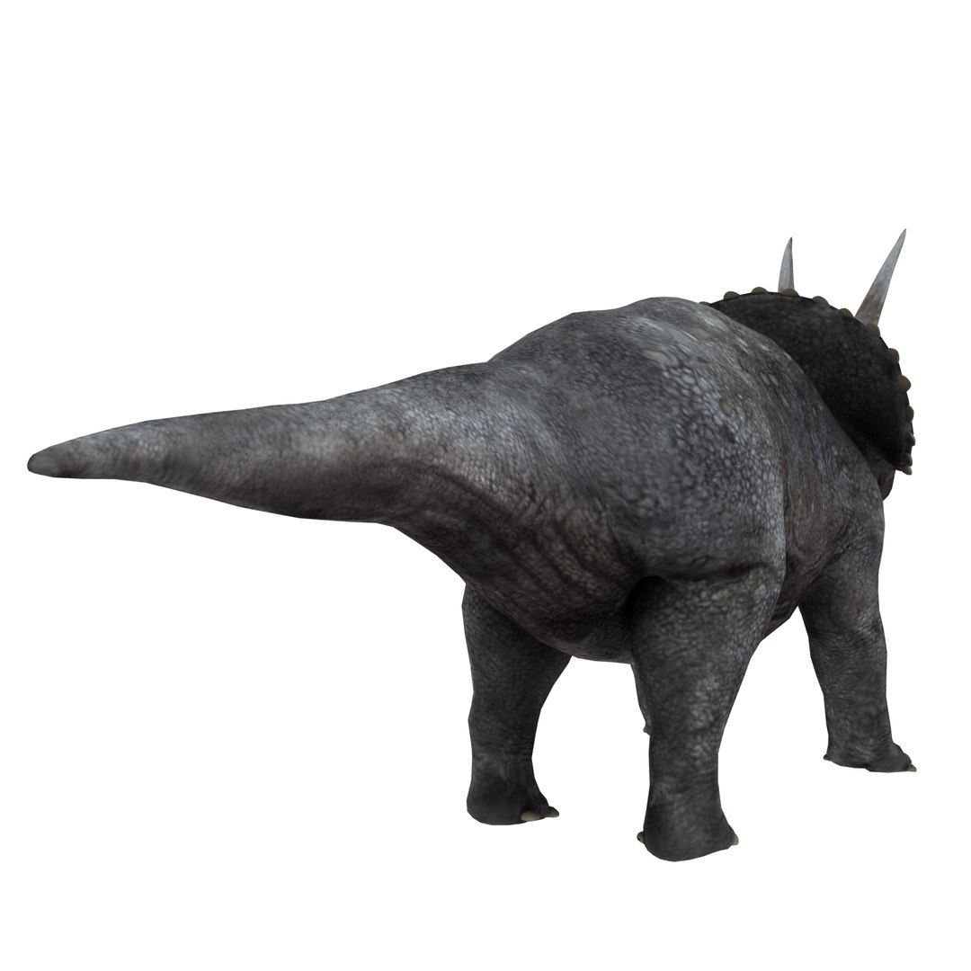 dinosaur 3D model https://p.turbosquid.com/ts-thumb/Zp/I0FyDb/OioMuJJC/triceratops_05/png/1517852197/1920x1080/fit_q87/7062f7f29950fc15dae229a0b5c08bca98839948/triceratops_05.jpg