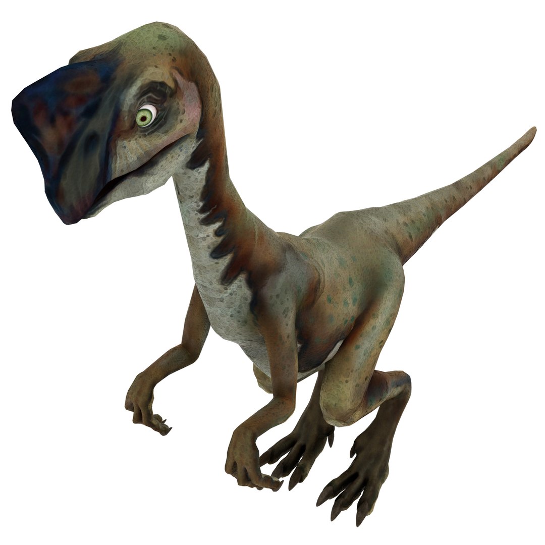 dinosaur 3D model https://p.turbosquid.com/ts-thumb/Zp/I0FyDb/Pqe5QkWv/oviraptor_08/jpg/1517852197/1920x1080/fit_q87/fa94b39cf6e7d942e5fc1643e042c7bdcf576d68/oviraptor_08.jpg
