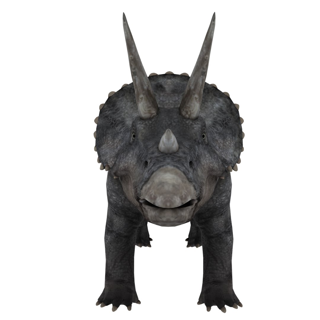 dinosaur 3D model https://p.turbosquid.com/ts-thumb/Zp/I0FyDb/PsL4Mx25/triceratops_04/png/1517852197/1920x1080/fit_q87/c08b0627024c7264781b41039a1013f533ea799e/triceratops_04.jpg