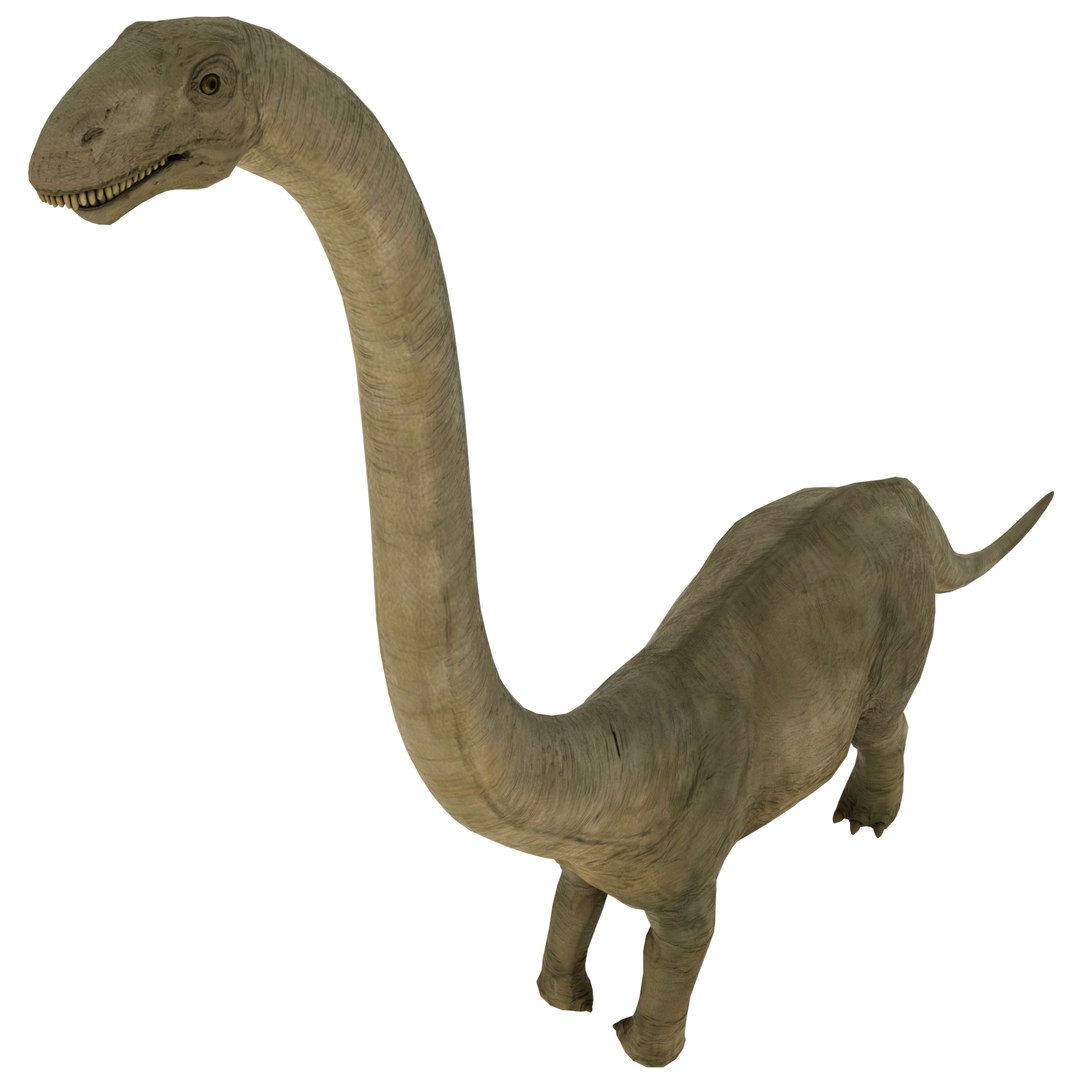 dinosaur 3D model https://p.turbosquid.com/ts-thumb/Zp/I0FyDb/T6SPjtcY/brontosaurus_06/png/1517852197/1920x1080/fit_q87/de1bccad003928e2a97c0757a4f4ef44e14d6dd5/brontosaurus_06.jpg