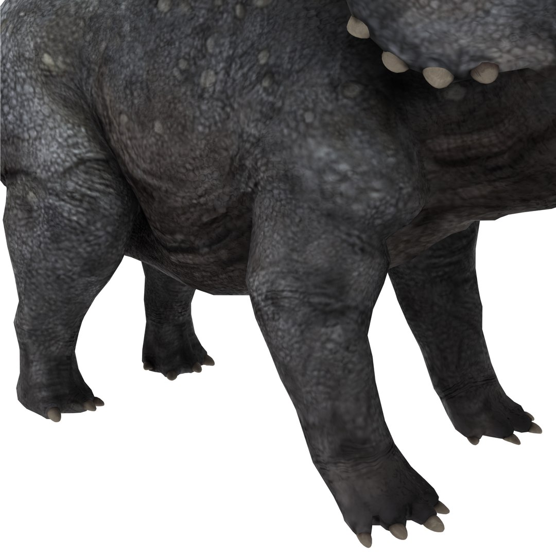 dinosaur 3D model https://p.turbosquid.com/ts-thumb/Zp/I0FyDb/TCNlDPjK/triceratops_06/png/1517852197/1920x1080/fit_q87/11a31c2b8defd16acd0097e270d5f0f0b7a30244/triceratops_06.jpg