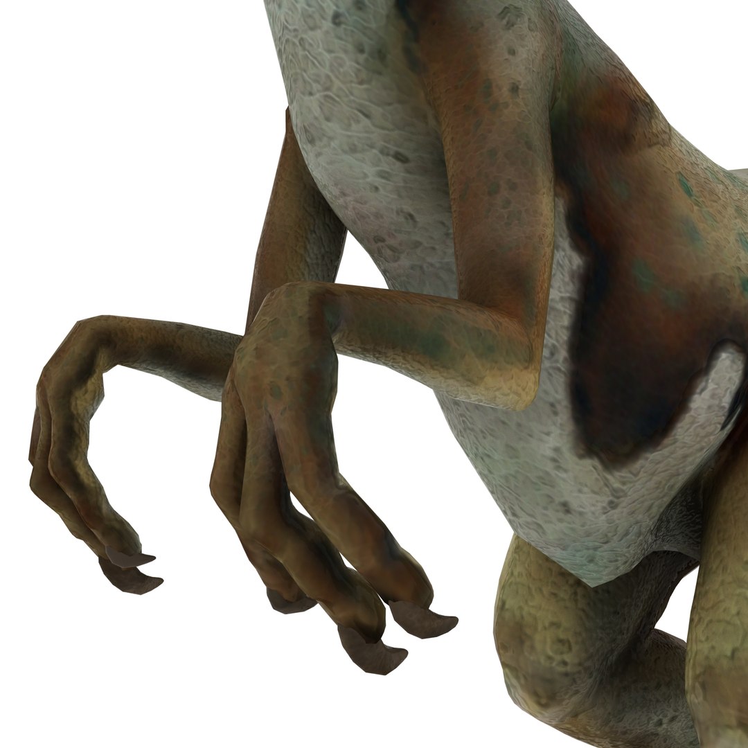 dinosaur 3D model https://p.turbosquid.com/ts-thumb/Zp/I0FyDb/TSP1kvkQ/oviraptor_06/jpg/1517852197/1920x1080/fit_q87/c5bb6febb3ef5d5ccfe5a9ec04cea35ea9bf0d51/oviraptor_06.jpg