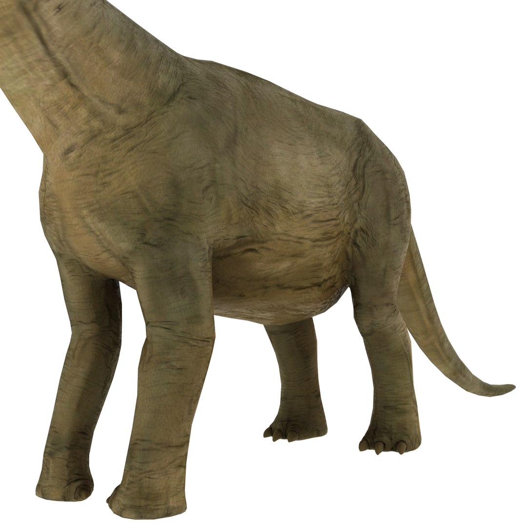 dinosaur 3D model https://p.turbosquid.com/ts-thumb/Zp/I0FyDb/UWPaJgCQ/brontosaurus_07/png/1517852197/1920x1080/fit_q87/f2d2549f48ae12b4a8a5c90897b3a77495212de8/brontosaurus_07.jpg