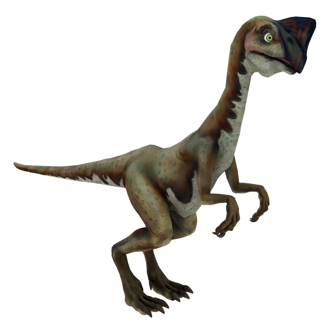 dinosaur 3D model https://p.turbosquid.com/ts-thumb/Zp/I0FyDb/XK4NQz3E/oviraptor_01/jpg/1517852197/1920x1080/fit_q87/e2c9a97717dc32971b1a131e51c3942e4d6a4528/oviraptor_01.jpg