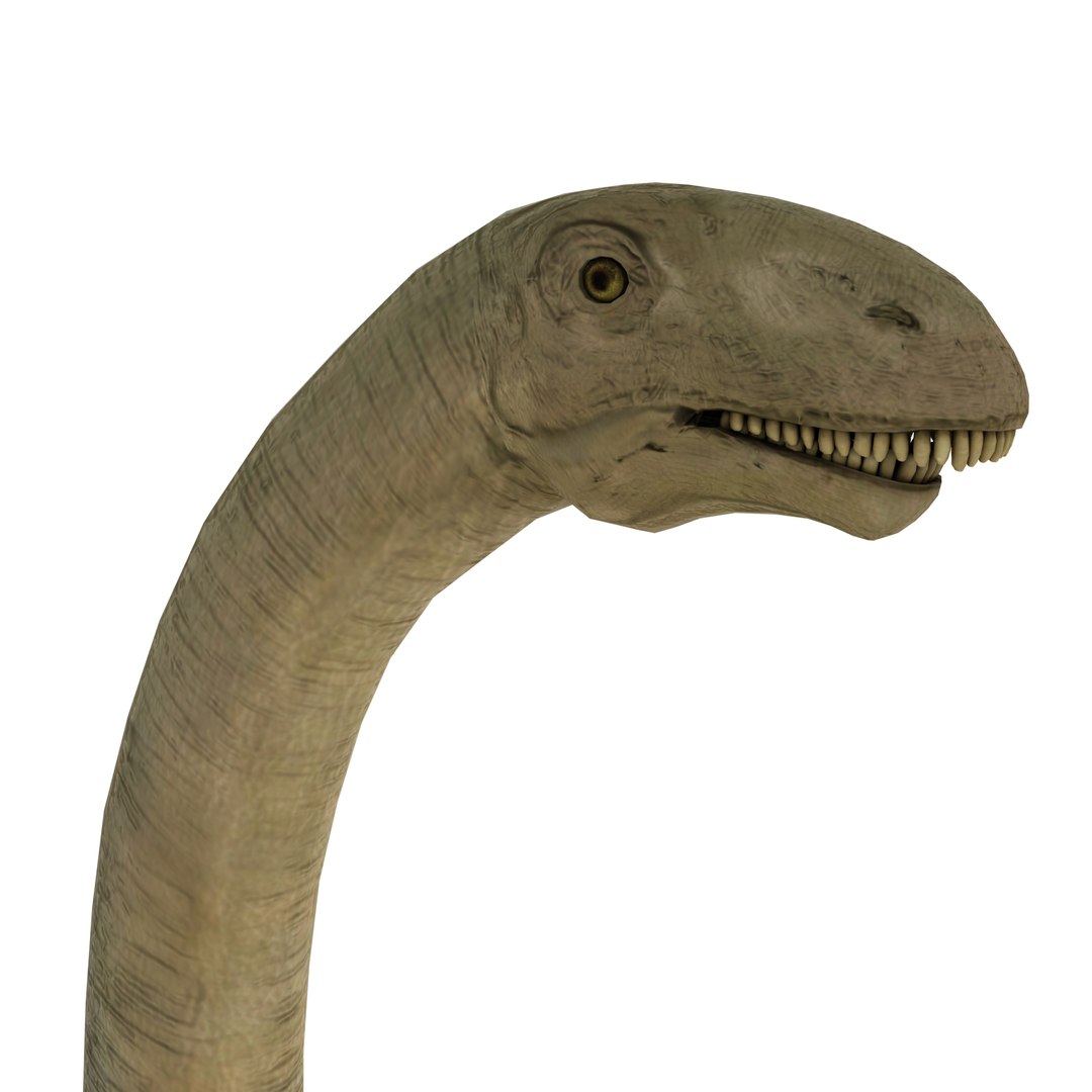 dinosaur 3D model https://p.turbosquid.com/ts-thumb/Zp/I0FyDb/bvIElOWl/brontosaurus_03/png/1517852196/1920x1080/fit_q87/7691bd8feb9f503a89936e65a002c5a46372fdef/brontosaurus_03.jpg
