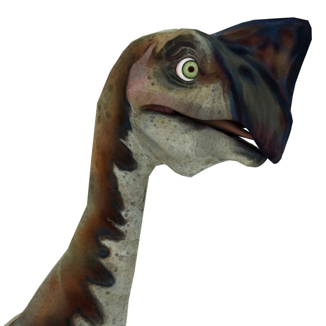dinosaur 3D model https://p.turbosquid.com/ts-thumb/Zp/I0FyDb/cOwOdRC8/oviraptor_03/jpg/1517852197/1920x1080/fit_q87/aedd49b12d63d51f0f9a4853d6bc6ca90b6e1d0f/oviraptor_03.jpg